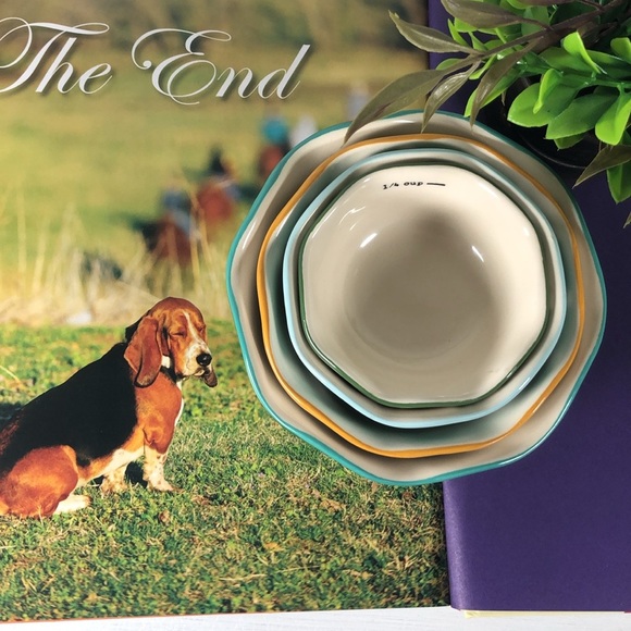 Pioneer Woman Rare Rose Shadow Nesting Measuring Bowls Cups Set of 4 - Picture 17 of 17